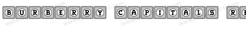 Burberry Capitals Regular字体转换